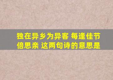 独在异乡为异客 每逢佳节倍思亲 这两句诗的意思是